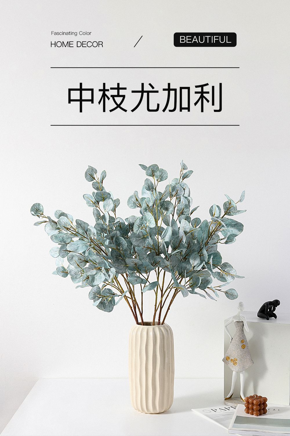 中枝尤加利详情图