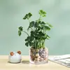 Planta Verde Creativa Hierba de Cuatro Hojas Cheyenne Planta en Maceta de Simulación Decoración del Hogar Escritorio de Oficina Planta de Simulación Crecimiento de Ojos Bonsái