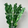 Arranjo de flores eternas folha laranja com ramos de folhagem, materiais florais DIY com toque de alta qualidade, atacado de fabricante de Yunnan, decoração de flores eternas