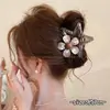 Atacado de acessórios de cabelo Dongdaemun Coreia: Grampos de cabelo da nuca da moda para mulheres, presilhas tubarão de alta qualidade e requintadas