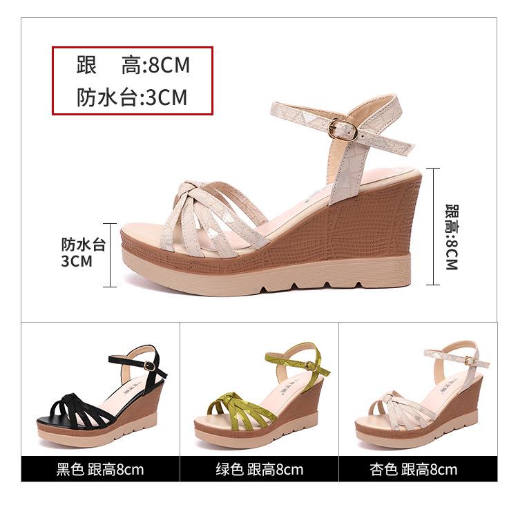 杏色_06.jpg