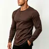 Camiseta Masculina de Outono para Comércio Exterior, Tamanho Grande Europeu e Americano, Gola Henley, Secagem Rápida, Manga Longa, Camada Base Esportiva Masculina, Roupas Masculinas Transfronteiriças