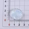 Pequeños Accesorios de Resina con Carcasa Transparente y Brillo para DIY Pasador Hebilla de Zapato Accesorios para Bolsas Sombreros