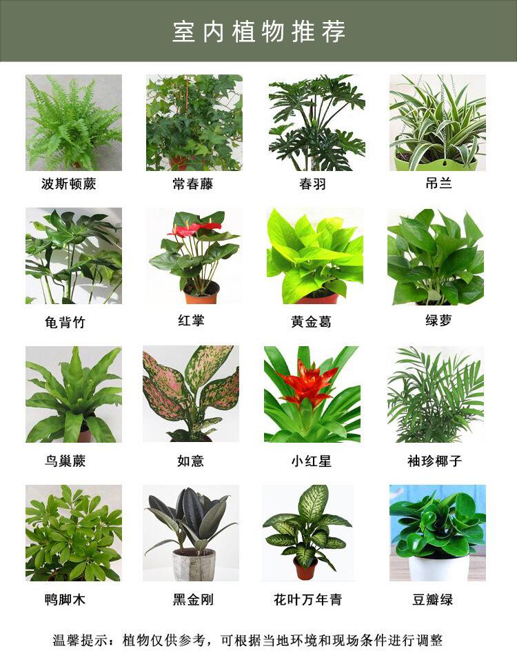 2515-4套装13.png