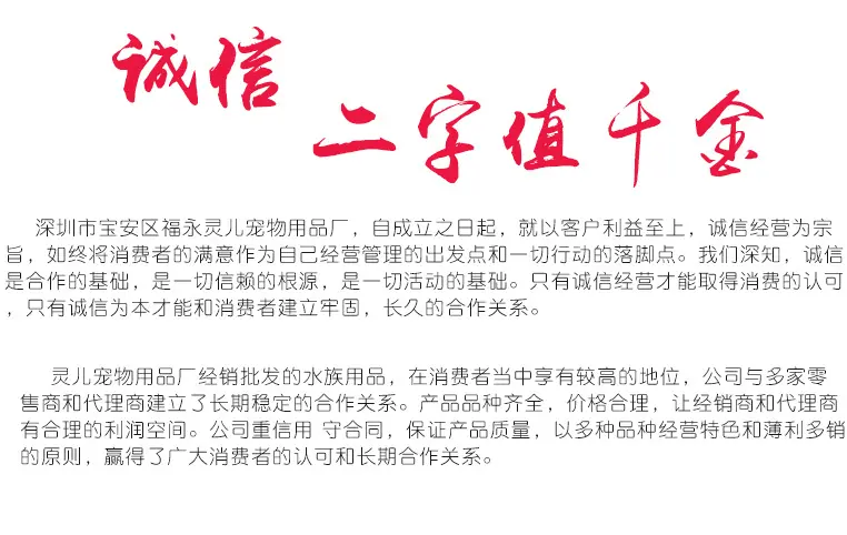 灵儿详情最下屏