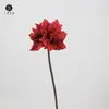 Série Vermelha: Lírio-de-fogo, Cymbidium, Phalaenopsis, Orquídea Dançante, Clívia, Hortênsia, Phalaenopsis 'Wandai', Fruta Vermelha
