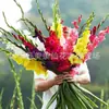 Bulbos de amarilis, bulbos de azafrán, plantas con flores, bulbos de calathea, semillas en maceta, flores para jardín de todas las estaciones