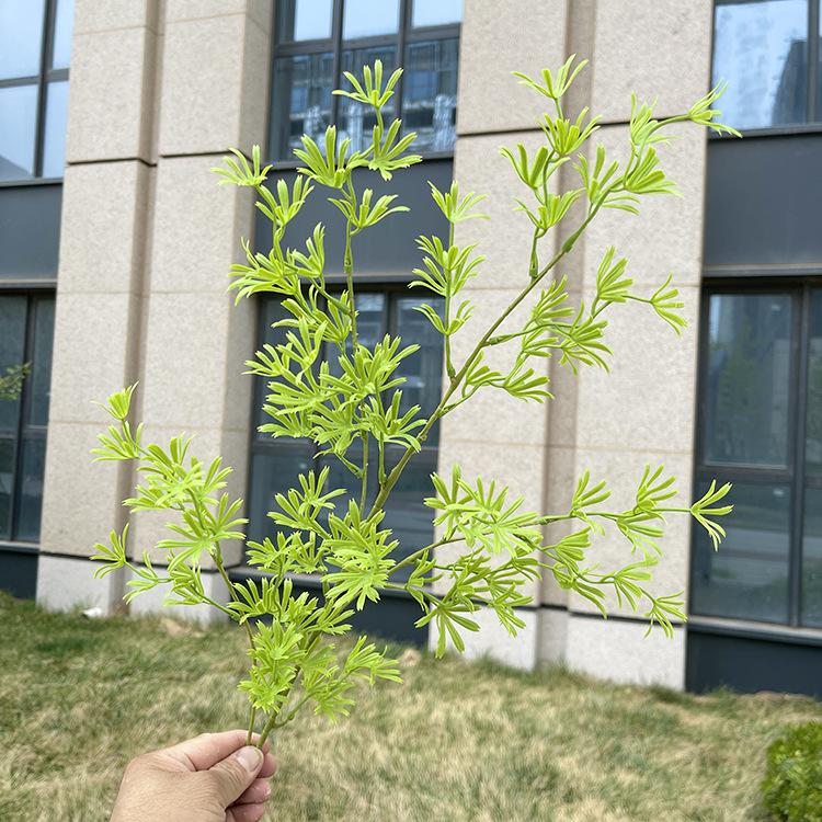 4叉原色香草 浅黄绿.JPG