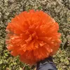 Pompones de porristas flores de mano flores de mano para bailar manijas para baile en plaza accesorios para agitar la mano no permitidos