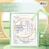 Papel Higiénico Xin Xiang Yin Sin Rollo Papel Higiénico para el Hogar Tamaño Grande Espesado Gran Cantidad Venta al por Mayor Dropshipping Papel Higiénico Caja Completa Venta al por Mayor