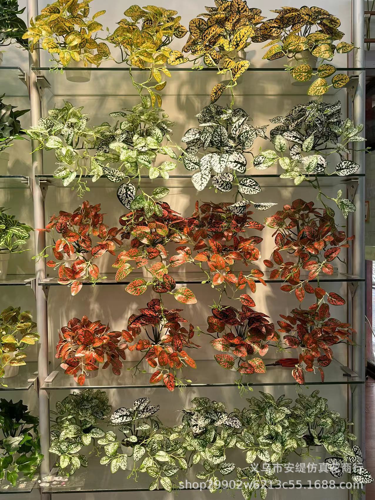 微信图片_20221224145755