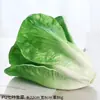 Modelos de Vegetais de Simulação Ornamentos de Frutas de Plástico Vegetais Verdes Falsos Decorações de Armário Adereços de Fotografia Ferramentas de Educação Infantil para Crianças Pequenas