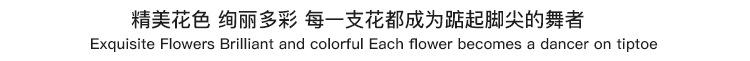 详情_07.jpg