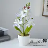 Novo pequeno bonsai de ave-do-paraíso com 6 flores e 2 frutas, bonsai de flor artificial criativo moderno de simulação, ornamento de decoração para casa