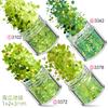Kit de Unhas Verdes Transfronteiriço 12 Cores Misturadas Lantejoulas para Nail Art Laser Pó Escarlate Joias para Nail Art Broca Adesivo para Unha