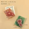 Una variedad de molde de silicona de etiqueta cuadrada, etiqueta de aromaterapia, galletas para mascotas, molde de alta temperatura, molde manual de volteo