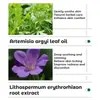 Ungüento de Kormesic Lithospermum Todo en Inglés Repelente de Mosquitos de Verano y Prevención de Insectos Ungüento Herbal Refrescante Fabricante de Comercio Exterior Transfronterizo Venta al por Mayor