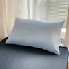 Funda de almohada Daifa 105g estilo liso cepillado sin estampado a rayas color sólido funda de almohada engrosada cuero para almohada venta al por mayor