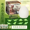 Ovo de Dinossauro Extra Grande Brinquedo de Escavação Arqueológica Caixa Surpresa de Gesso de Dinossauro para Crianças Brinquedo Educacional Infantil