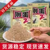 Nuevo producto solo huevo 2ª generación al por mayor señuelo valle de dios fragancia fuerte a pescado pesca salvaje competitivo bomba de acero 2 anzuelos cebo para carpa cruciana dorada