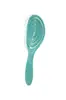 Peine de Gradiente Hueco Transfronterizo, Peine Ovalado para Alisar el Cabello Lacado, Peine Ovalado para Peinar el Cabello Esponjoso, Peine Oscilante