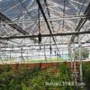 Aspersor Giratorio Invertido de Irrigación Le Miao Invernadero Riego Ahorrador de Agua Árboles Frutales y Verduras Jardín Colgante Microaspersor