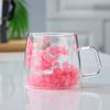 Suministro transfronterizo网红 flor real doble capa de vidrio alto valor de color regalo acompañante taza de café alto borosilicato taza simple