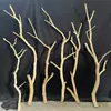 Forma de Galho Seco de Árvore para Pássaros Cabide de Roupa para Pendurar na Parede Decoração de Galho de Teto Galho de Madeira Crua Galho Seco Natural Galho Seco Madeira Seca Cabelo Liso