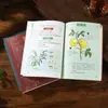 Compendio de las Maravillosas Recetas de Bian Que, Compendio de las Maravillosas Recetas de Li Shizhen, Compendio de las Maravillosas Recetas de Huo Tuo, Compendio de las Maravillosas Recetas de Zhang Zhongjing, Imágenes a Color y Explicaciones