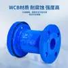 Válvula Automática de Admisión y Escape con Brida P41X Tubería de Agua Potable Válvula de Escape Válvula Inflable Dn50 65 100 200