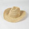 Moda europea y americana de primavera y verano, ocio, ganchillo, rafia, paja, borde deformado, sombrero vaquero, viaje al aire libre, protección solar, sombra, sombrero de jazz, tendencia