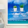 Estante de almacenamiento para plantas suculentas en maceta de acrílico transparente en forma de D para sala de estar, baño, cocina, estante de almacenamiento montado en la pared