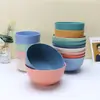Artículos de Primera Necesidad de Venta Caliente Transfronteriza: Juego de Tazones de Paja de Trigo y Plástico para Arroz, Sopa, Fideos Instantáneos, Verduras, Anticaídas, Estilo Ins