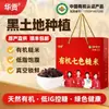 Arroz Integral Orgánico de Siete Colores Noreste Wuchang 2.5 kg Comida Fitness Sustituto de Comida Relleno Alimento Básico Granos Integrales Arroz de Grano Grueso Oem