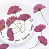 Flores de Gerbera Teñidas con Tallos, Flores Secas Prensadas con Tallos, Flores Reales para Actividades de Bricolaje, Materiales para Marcapáginas, Espécimenes de Plantas