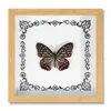Foto de Espécime de Borboleta Real Moldura de Foto Pintura Decorativa Europeia e Americana Moldura de Foto Retro DIY Decoração de Mesa para Casa Presente de Aniversário Presente