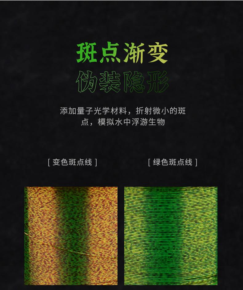 500m斑点线11_02.jpg