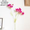 Cosmos Rama Única Flor Gesang Flor Artificial Fabricante Decoración del Hogar Pared de Flores de Boda Ramo de Flores Artificiales Mw58738