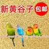 Comedero para pájaros de exterior, Comedero semiautomático para balcones de exterior, Comedero para pájaros colgante para jardines, Bebedero para pájaros silvestres