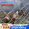 Cerca de Tela de Arame Galvanizado para Agricultura, Criação de Frangos, Proteção, Jardim, Pomar, Exterior, Galvanizado a Quente, à Prova de Ferrugem, Tela de Arame de Aço Espessada