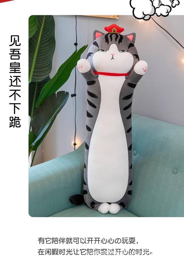 吾皇猫_12.jpg