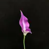 Eva Lírio-Calla de Pétala Dupla Flor Artificial Flor de Casamento Decoração de Sala de Estar Buquê de Flores Adereços para Fotografia Flor Artificial