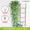 Planta verde artificial para pendurar na parede, pendente de parede de flor artificial, rattan de parede, folha falsa de plástico, orquídea pendurada, folha decorativa, cesta suspensa, Rosa Verde