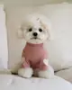 Ropa Transfronteriza Nueva para Perro Otoño e Invierno Camiseta Base Oso Teddy Beaumibi Perro Pequeño Gato Suéter Bordado de Amor