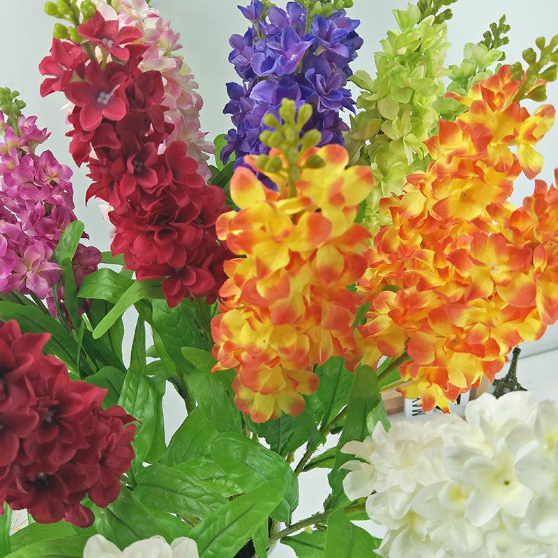 IMG20190422004909