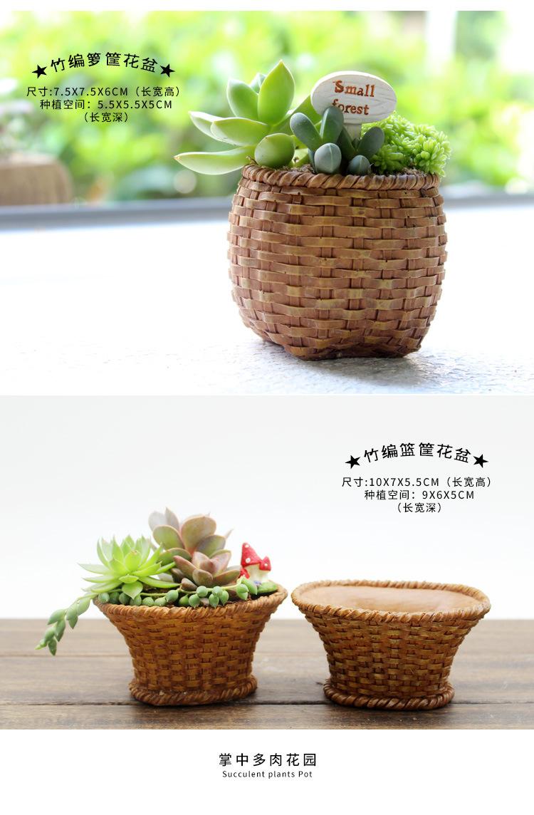 多肉花盆小号2_01
