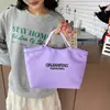 Bolso de Gran Capacidad Estilo Coreano Diseño de Nicho Bolso Moda Nueva Primavera 2026 Bolso de Tela Simple Ligero para Mujeres