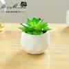 Flor Artificial Mini Vaso Pequeno com Diamantes Suculenta Bonsai Ornamentos Criativos para Interior Dropshipping Planta Verde Artificial Planta em Vaso