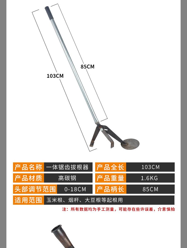 详情_03.jpg
