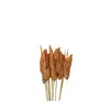 Brochetas populares para snacks en línea, brochetas comerciales, brochetas fritas, productos semielaborados, brochetas picantes revolucionarias, brochetas para olla caliente, brochetas de res picantes